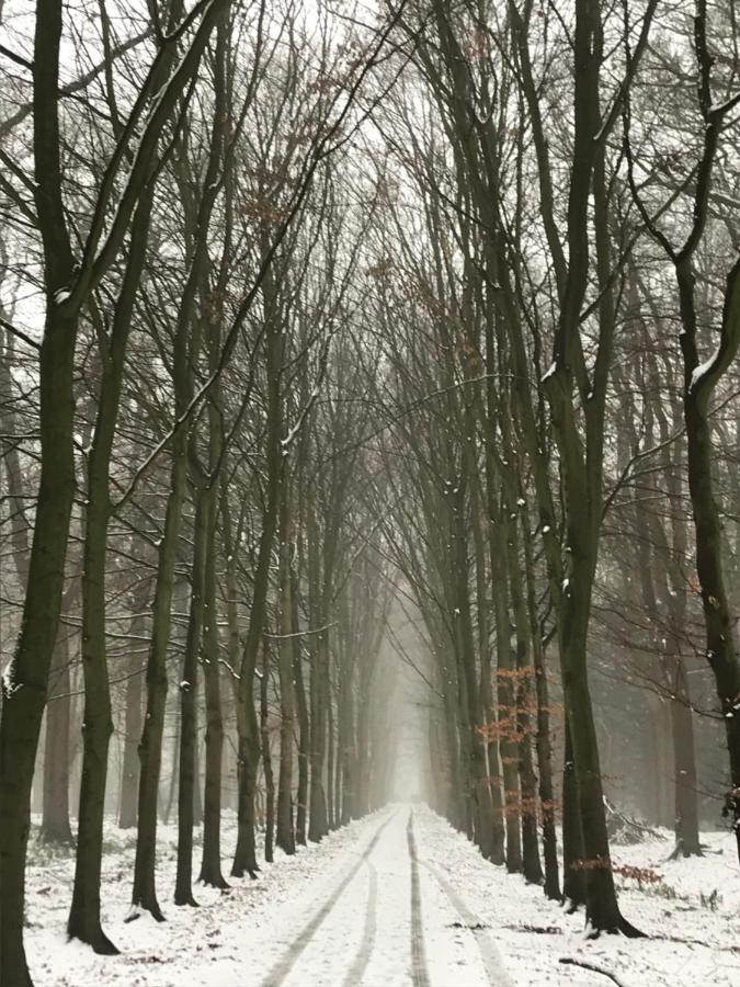 B&B 'Het Gripshuis' Vught Zewnętrze zdjęcie