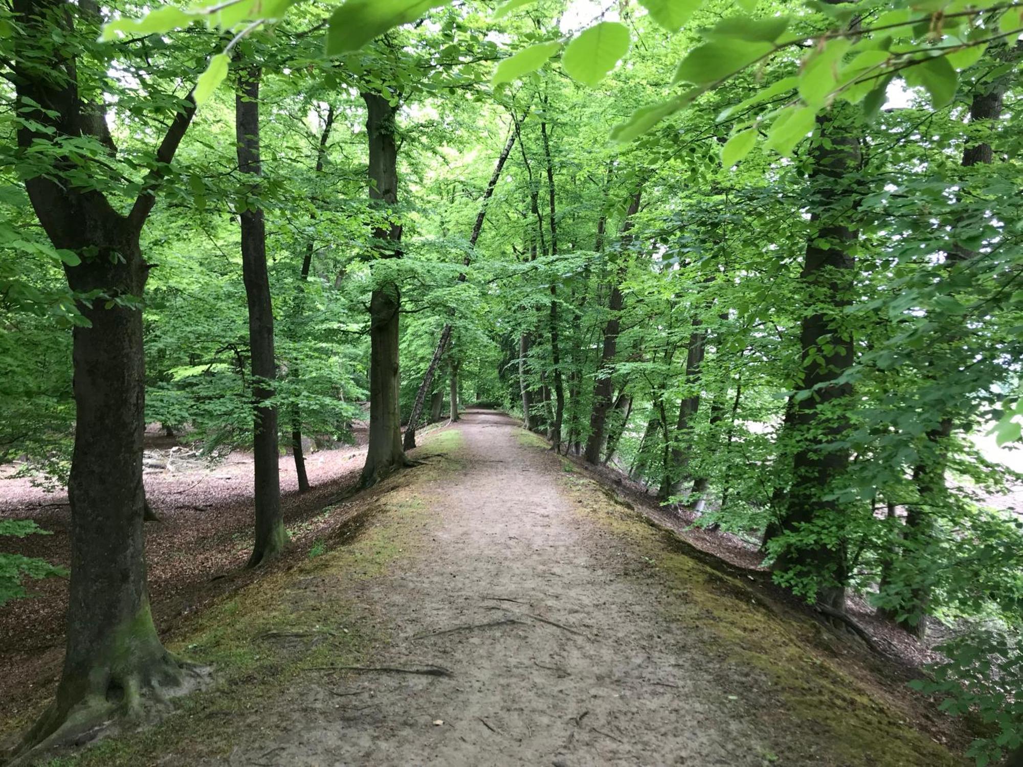 B&B 'Het Gripshuis' Vught Zewnętrze zdjęcie