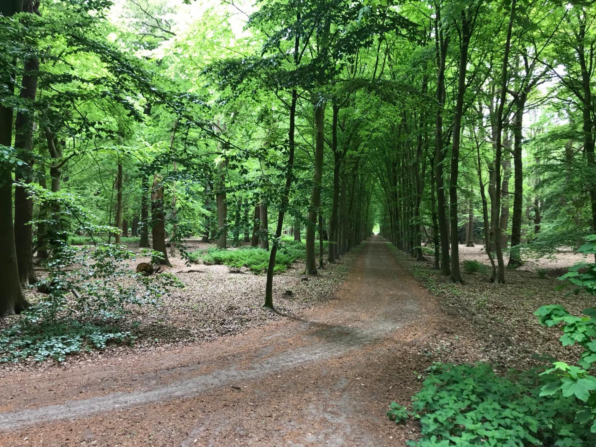B&B 'Het Gripshuis' Vught Zewnętrze zdjęcie